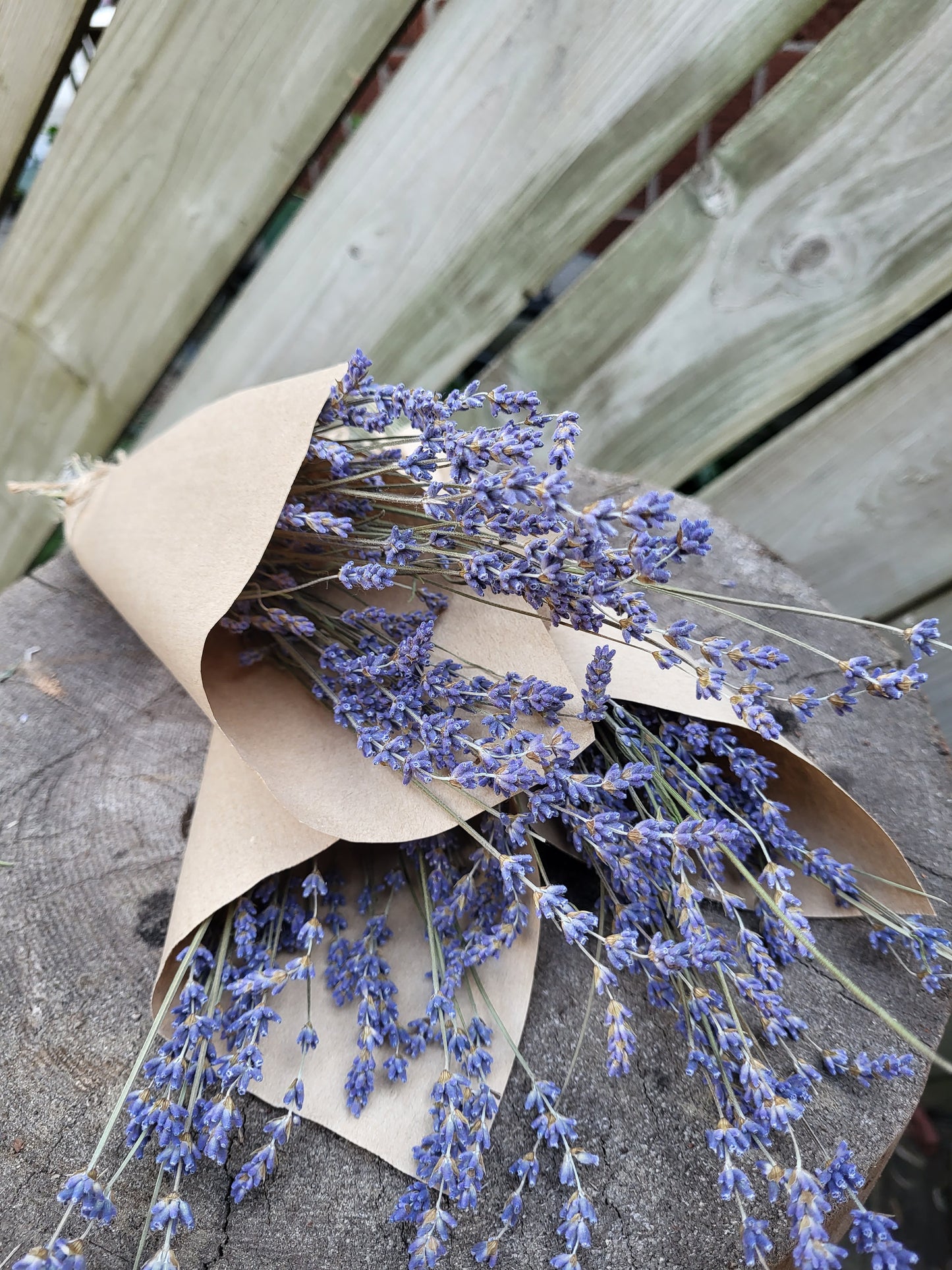 Mini Dried Lavender Bundle